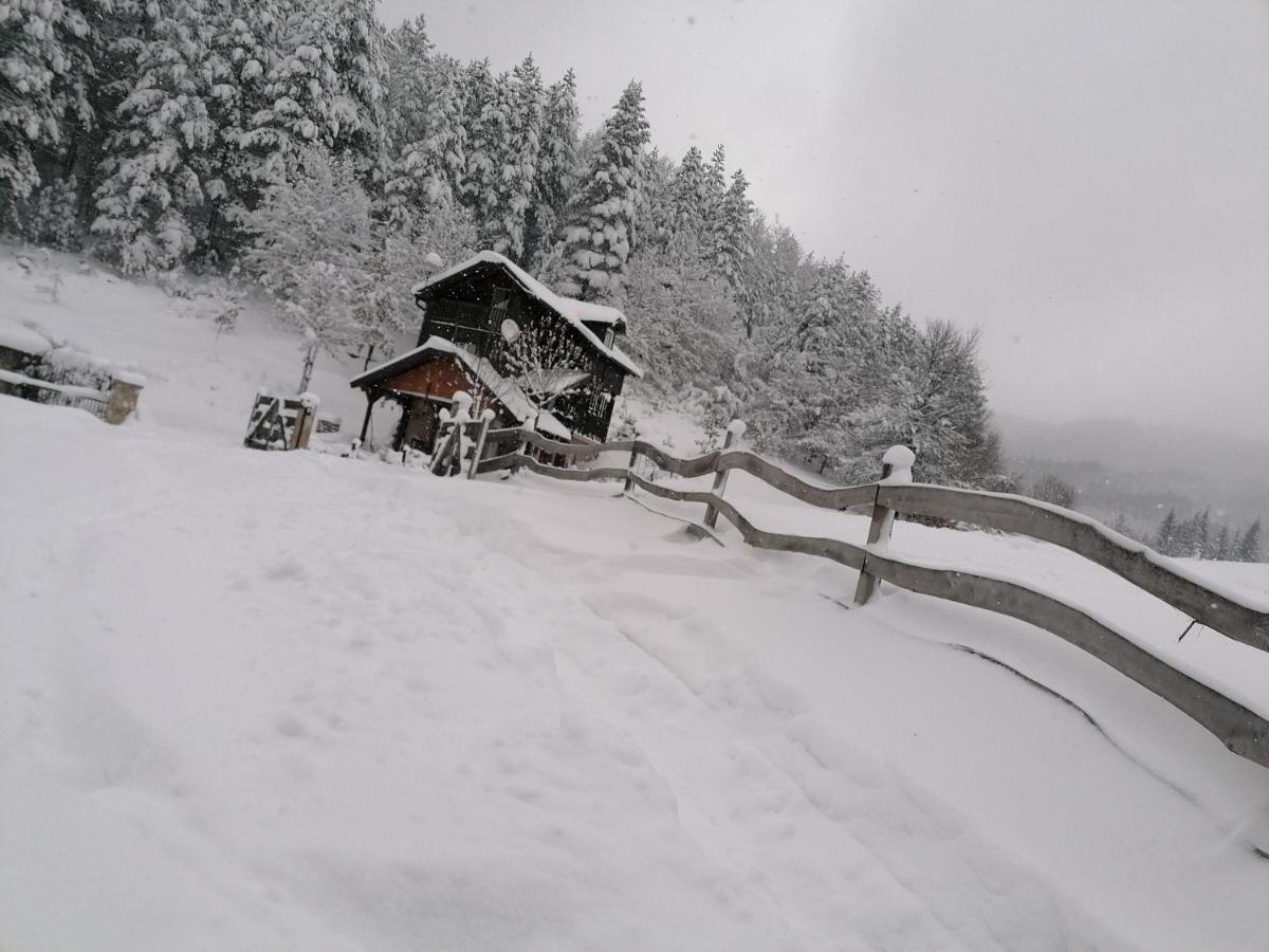 Vikendica Moonlight Vila Zaovine Exterior foto